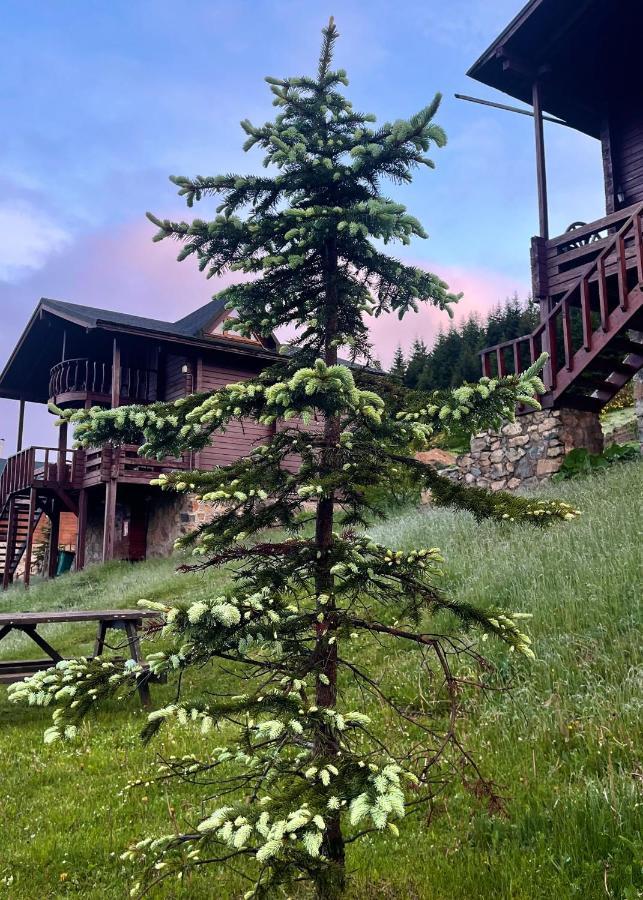 Kuembet Dag Evi Villa Exterior photo